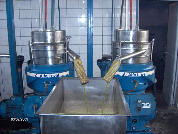 elies-008.jpg